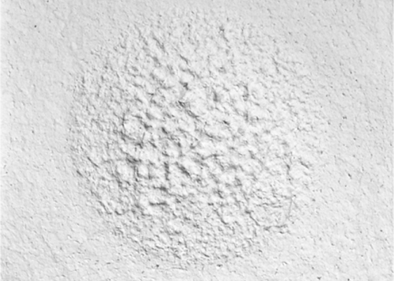 ohnetitel2